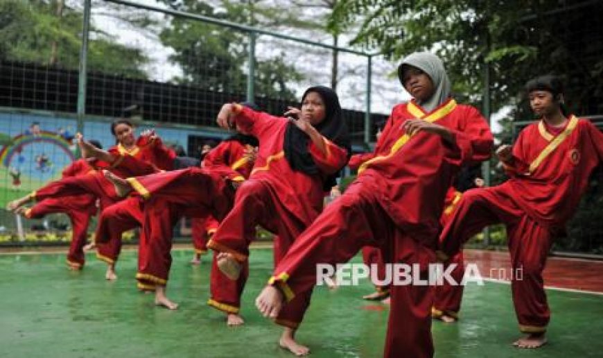 Kabar Gembira Buat Garut, Anggota DPR: Garut Jadi Lokomotif Pengembangan Silat